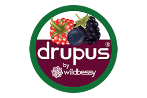 SevenBerries - Drupus