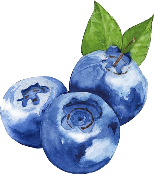 SevenBerries - Mirtilos